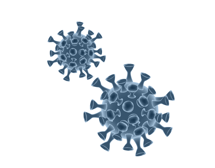 Coronavirus (COVID-19) Thumb